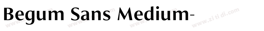 Begum Sans Medium字体转换